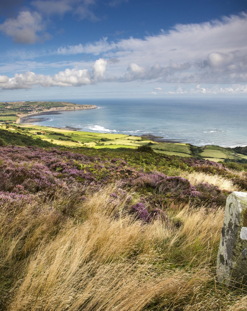 The Yorkshire Coast – full of surprises! 