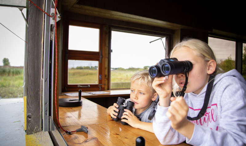 Your Guide to Family Fun on England's Coast in 2025